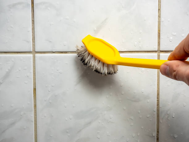 Best Emergency Mold Remediation in Jemison, AL