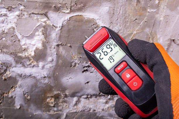 Best Kitchen Mold Remediation in Jemison, AL