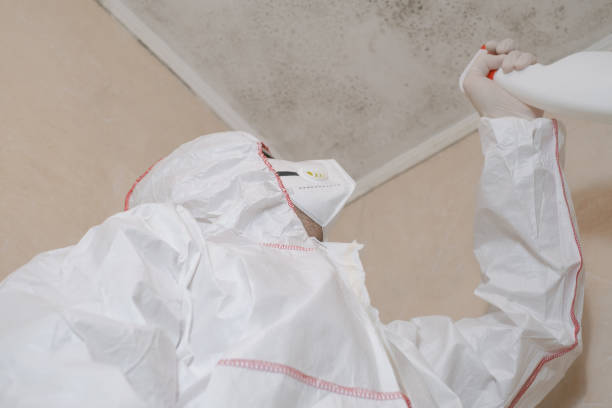 Reliable Jemison, AL Mold Remediation Solutions